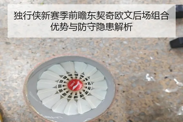 独行侠新赛季前瞻东契奇欧文后场组合优势与防守隐患解析
