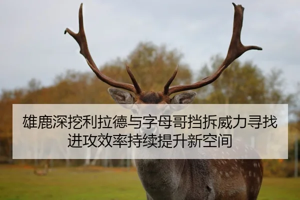 雄鹿深挖利拉德与字母哥挡拆威力寻找进攻效率持续提升新空间