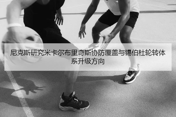 尼克斯研究米卡尔布里奇斯协防覆盖与锡伯杜轮转体系升级方向